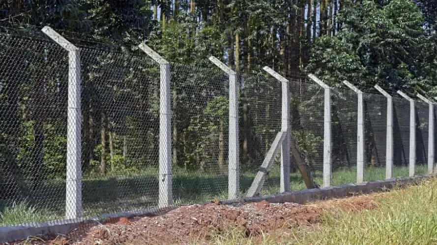 فاکتورهای مهم در خرید توری فنس